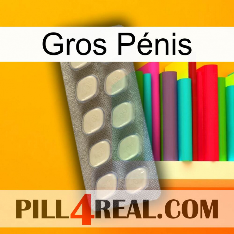 Gros Pénis 08